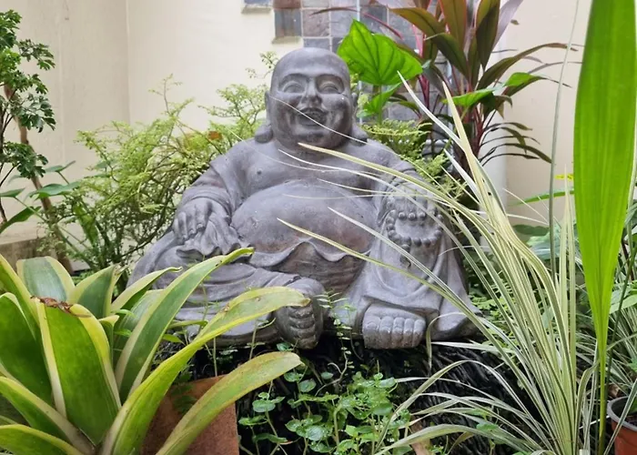 Bodhi Panama City