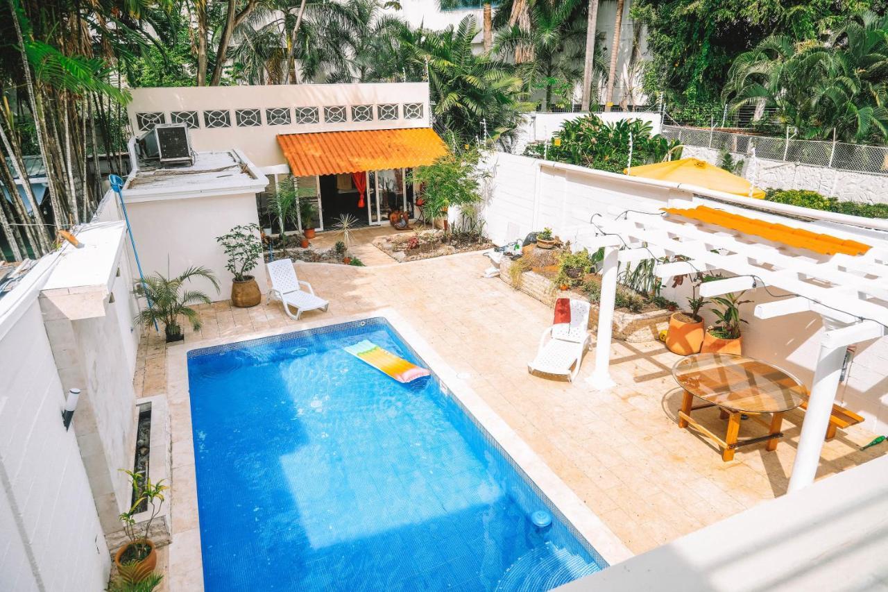 Bodhi * Panama City
